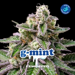 BSF G-Mint X4