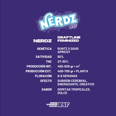 BSF Nerdz X4 - comprar online