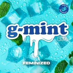 BSF G-Mint X4 - comprar online