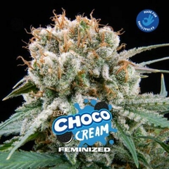 BSF Choco Cream X4