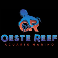 Marca 6 de Red Sea Argentina