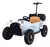 Mini Carro Elétrico Infantil Antigo Calhambeque Retro Branco - comprar online