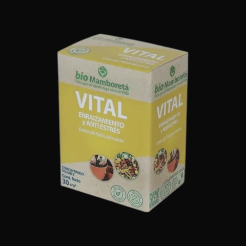 MAMBORETA VITAL