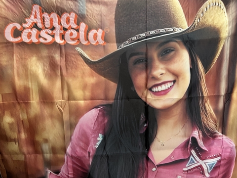 Painel de Tecido Ana Castela -1 unidade