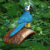 Arara Azul sobre Ouriço de Castanha - comprar online