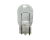 LAMPARAS 1 POLO S/CULOTE 24V 5W PIOJITO 13961