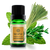 SINERGIA DO ESTUDANTE 10ML