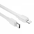 Cabo bravo series 20w tipo-c x lightning - Wiwu na internet