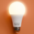 Lámpara Led Bulbo A60 11W - Blanco Cálido en internet