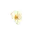 PIN UVA DOURADO na internet
