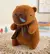 Peluche Capybara 26cm + Boligrafo capybara 10 colores DE REGALO
