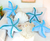 Combo 5 Almohadones Estrellas Y Almeja Celeste Y Blanca Estrellas Y Almeja