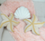 Combo Almohadones De Estrellas Y Almeja - Alegna