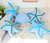 Combo 5 Almohadones Estrellas Y Almeja Celeste Y Blanca Estrellas Y Almeja en internet