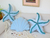 Combo Almohadones De Estrellas Y Almeja - comprar online
