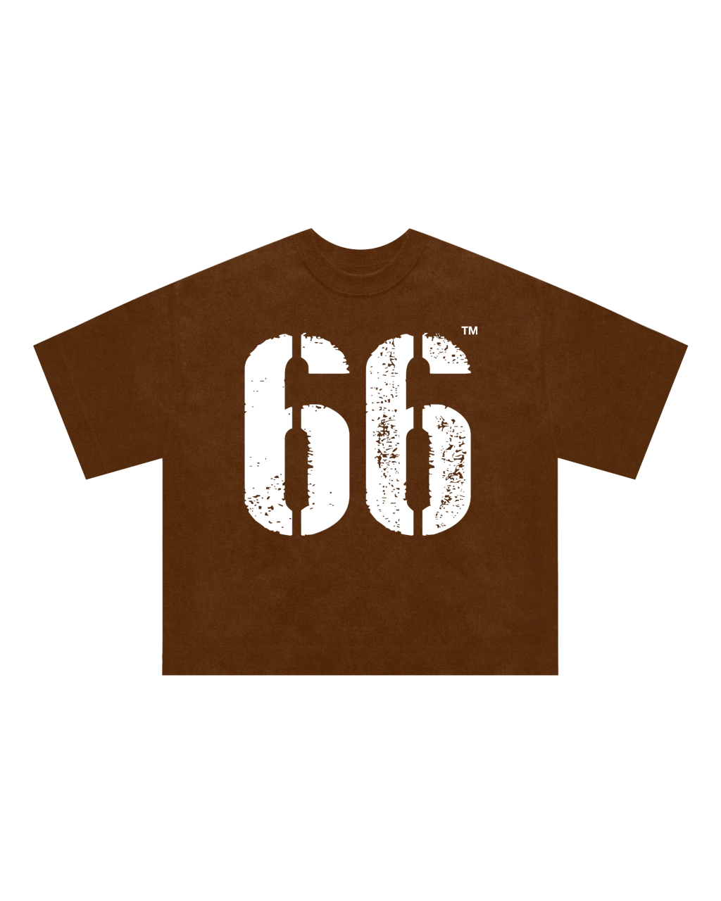 REMERA 66