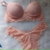 Conjunto Calcinha e Sutia - comprar online