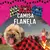 Camisa Dog Flanela - WayPet