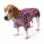 Camisa Dog Havaiana - comprar online