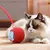 Bola Interativa Inteligente para Pets - PetMotion Ball na internet