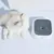 Bebedouro Antiderramamento para Cães e Gatos – CleanDrink na internet