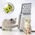 Pá de Limpeza para Gatos com Suporte e Filtro - CleanCat - comprar online