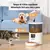 Alimentador Automático Inteligente de 4L com WiFi - PetChef Automático na internet