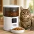 Alimentador Automático Inteligente de 4L com WiFi - PetChef Automático na internet