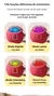 Imagem do Bola Interativa Inteligente para Pets - PetMotion Ball