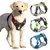 Peitoral Reflexivo Impermeável para Cães – MaxProtect - comprar online