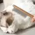 Pente de Aço Inoxidável para Cães e Gatos – PetHair na internet