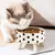 Comedouro Elevado com Design Moderno para Gatos e Cães - Comedouro Estilo Pet na internet