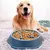 Comedouro Lento Antiderrapante para Cães - Comedouro FitMeal - comprar online
