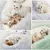 Cama Aconchegante e Quente para Gatos e Cães Pequenos - Cama ConfortPet - Maia Pet Shop