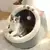 Cama de Pelúcia Aconchegante para Gatos - Caminha MimoCat na internet