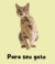 Banner de Maia Pet Shop