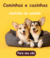 Banner de Maia Pet Shop