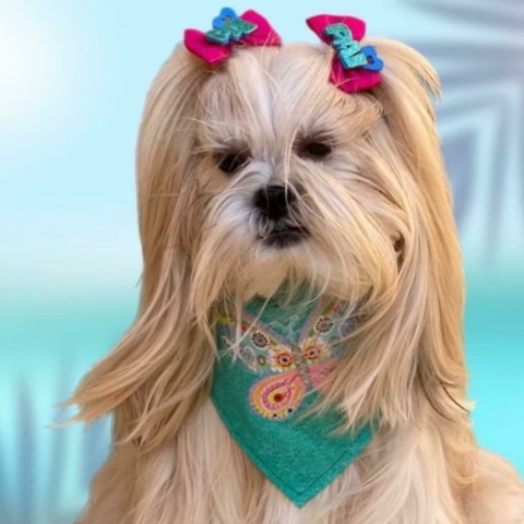 Bandana Pet Butterfly