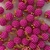 Pérolas Para Penteado Pet Pink - 12 mm - 50 unidades