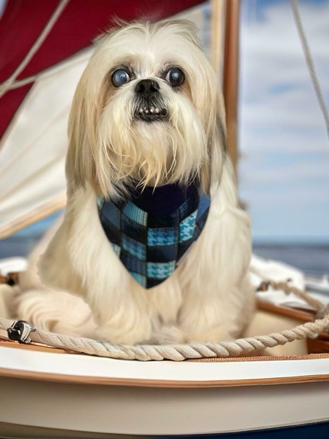 Bandana Pet Dupla Face Jeans - comprar online