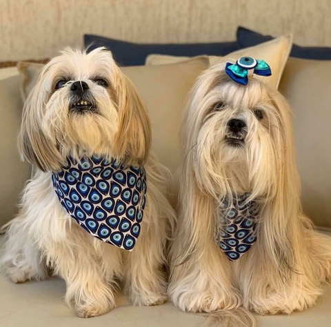 Bandana Pet Olhos Gregos