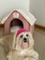 Casinha Chic para Cães e Gatos Bichinho Chic Rosa M na internet