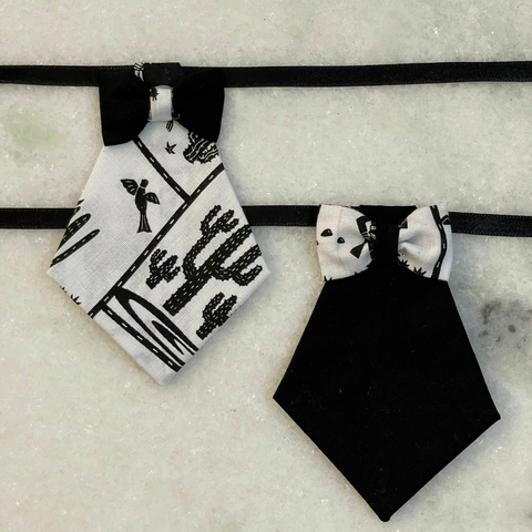 Kit Gravatas Pet Cordel