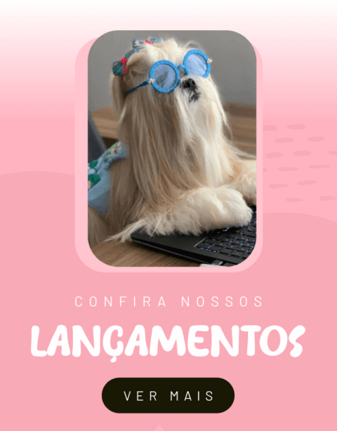 Carrossel 1