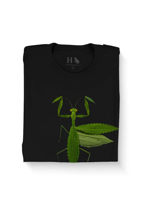 Camiseta Herb Green Mantis