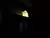 Fantasma porta vela led