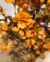 Flower Art Solarium - Bazar das Flores