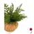 RENDA PORTUGUESA PEACH - comprar online