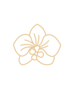 Categoria 2