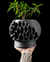 VIRUS 02 VASO